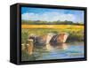 Day on the Lake-Jane Slivka-Framed Stretched Canvas