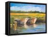 Day on the Lake-Jane Slivka-Framed Stretched Canvas