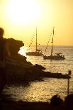 A Male Ibiza Wall Lizard on the Summit of Es Vedra Looking Toward Ibiza-Day's Edge Productions-Photographic Print