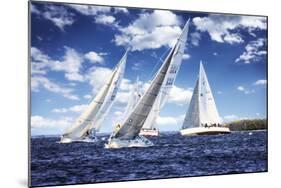 Day Sailing II-Alan Hausenflock-Mounted Photographic Print