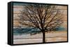 Day Tree-Diane Stimson-Framed Stretched Canvas