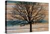 Day Tree-Diane Stimson-Stretched Canvas
