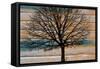 Day Tree-Diane Stimson-Framed Stretched Canvas