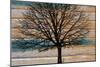 Day Tree-Diane Stimson-Mounted Premium Giclee Print