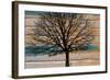 Day Tree-Diane Stimson-Framed Art Print
