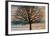 Day Tree-Diane Stimson-Framed Art Print