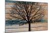 Day Tree-Diane Stimson-Mounted Art Print