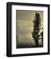 Daybreak on a Country Road-Don Schwartz-Framed Art Print