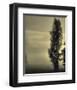 Daybreak on a Country Road-Don Schwartz-Framed Art Print