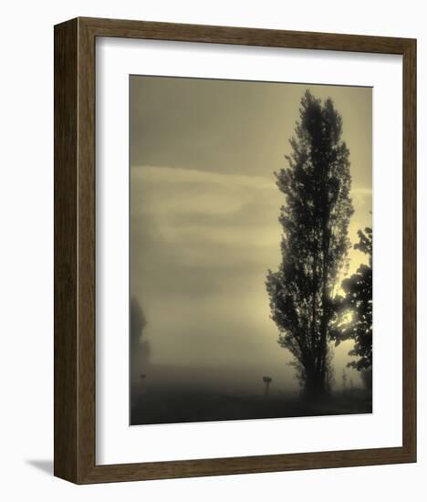 Daybreak on a Country Road-Don Schwartz-Framed Art Print