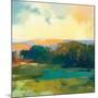 Daybreak Valley III-Julia Purinton-Mounted Art Print