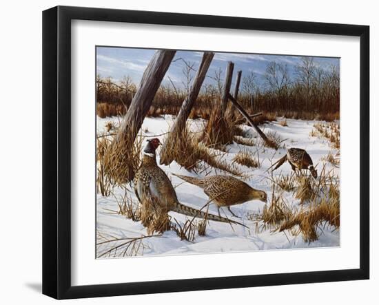 Daybreak-Kevin Daniel-Framed Art Print