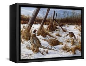 Daybreak-Kevin Daniel-Framed Stretched Canvas