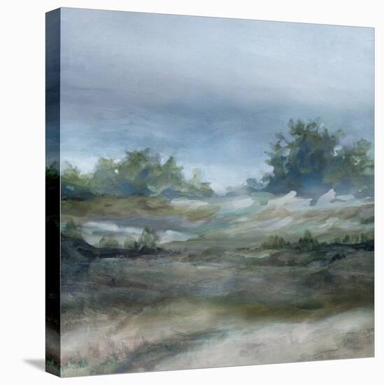 Daybreak-Carol Robinson-Stretched Canvas