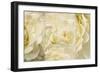 Daydream III-Cora Niele-Framed Photographic Print