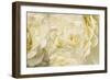 Daydream III-Cora Niele-Framed Photographic Print