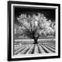 Daydream-Mike Jones-Framed Art Print