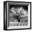 Daydream-Mike Jones-Framed Giclee Print