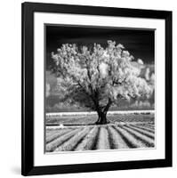 Daydream-Mike Jones-Framed Giclee Print