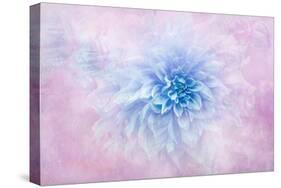 Daydream-Jacky Parker-Stretched Canvas