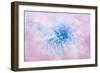 Daydream-Jacky Parker-Framed Giclee Print