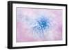 Daydream-Jacky Parker-Framed Giclee Print