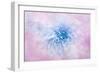 Daydream-Jacky Parker-Framed Giclee Print