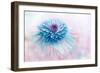 Daydream-Jacky Parker-Framed Giclee Print