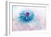 Daydream-Jacky Parker-Framed Giclee Print