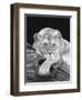 Daydreaming-Stephen Ainsworth-Framed Giclee Print