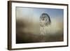 Daydreaming-Jai Johnson-Framed Giclee Print