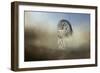 Daydreaming-Jai Johnson-Framed Giclee Print