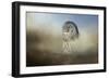 Daydreaming-Jai Johnson-Framed Giclee Print