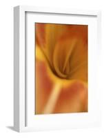 Daylily Abstract-Anna Miller-Framed Photographic Print