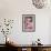 Daylily hybrid flowers, Hemerocallis-Adam Jones-Framed Premium Photographic Print displayed on a wall