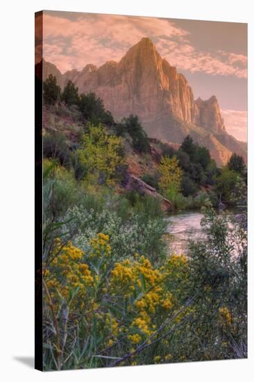 Days End from the Pa' Rus Trail, Zion-Vincent James-Stretched Canvas