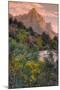 Days End from the Pa' Rus Trail, Zion-Vincent James-Mounted Photographic Print