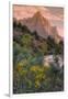 Days End from the Pa' Rus Trail, Zion-Vincent James-Framed Photographic Print