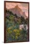 Days End from the Pa' Rus Trail, Zion-Vincent James-Framed Photographic Print