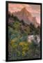 Days End from the Pa' Rus Trail, Zion-Vincent James-Framed Photographic Print