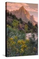 Days End from the Pa' Rus Trail, Zion-Vincent James-Stretched Canvas