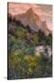 Days End from the Pa' Rus Trail, Zion-Vincent James-Stretched Canvas
