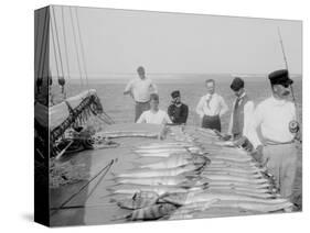 Days Fishing, Palm Beach, Fla.-null-Stretched Canvas