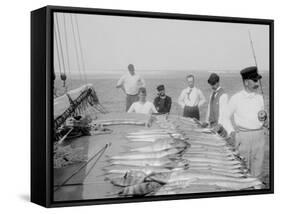 Days Fishing, Palm Beach, Fla.-null-Framed Stretched Canvas