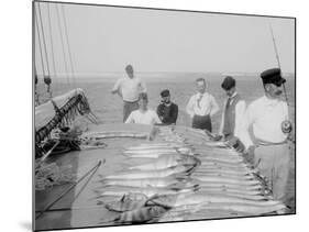 Days Fishing, Palm Beach, Fla.-null-Mounted Photo