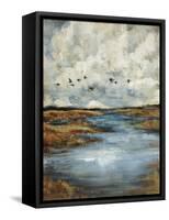 Days Flight-Sydney Edmunds-Framed Stretched Canvas