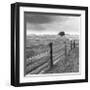 Days Gone By-Monte Nagler-Framed Art Print