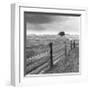 Days Gone By-Monte Nagler-Framed Art Print