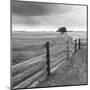 Days Gone By-Monte Nagler-Mounted Art Print