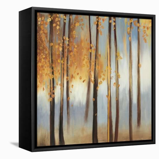 Days of Gold-Sloane Addison  -Framed Stretched Canvas